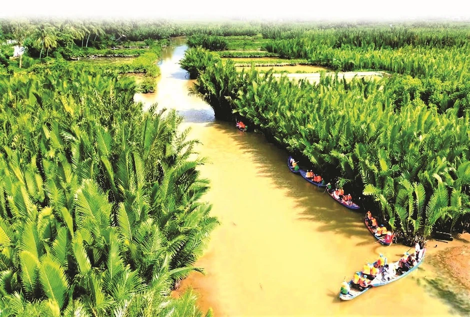 Bỏ việc lương cao về quê khởi nghiệp với dừa nước, thu tiền triệu mỗi ngày Bỏ việc lương cao về quê khởi nghiệp với dừa nước, thu tiền triệu mỗi ngày