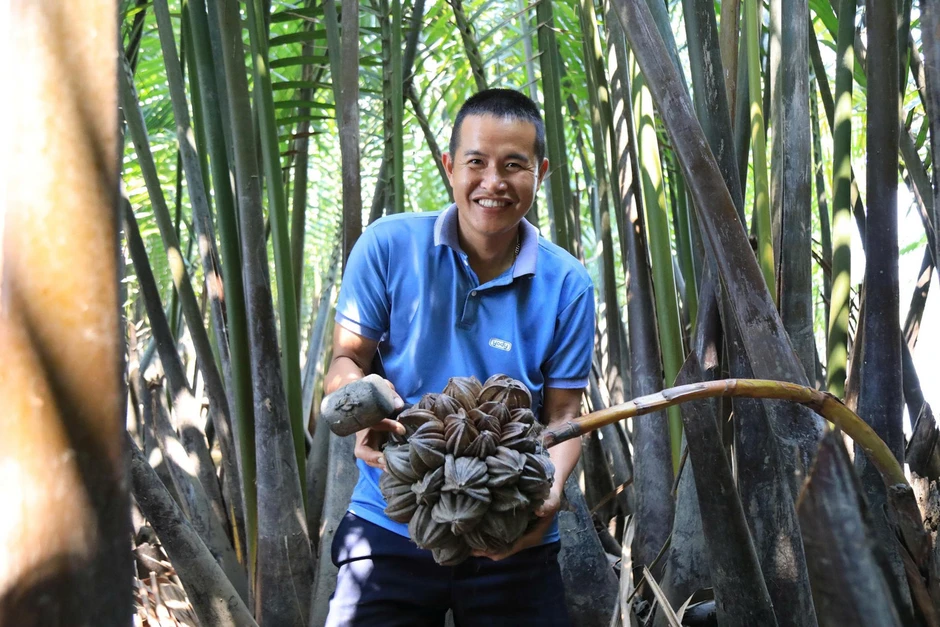 Bỏ việc lương cao về quê khởi nghiệp với dừa nước, thu tiền triệu mỗi ngày Bỏ việc lương cao về quê khởi nghiệp với dừa nước, thu tiền triệu mỗi ngày
