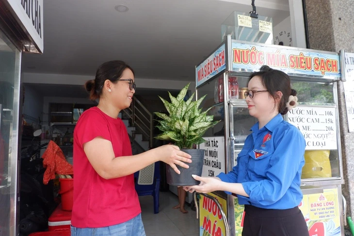 Cả ngàn bạn trẻ cùng bà con ở Bình Hưng Hòa chung tay dọn rác, trồng cây nhân Ngày Chủ nhật xanh Cả ngàn bạn trẻ cùng bà con ở Bình Hưng Hòa chung tay dọn rác, trồng cây nhân Ngày Chủ nhật xanh