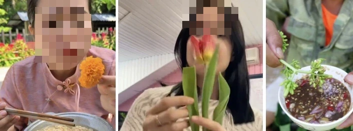 Cẩn thận với trend 'ăn hoa như ăn rau' Cẩn thận với trend 'ăn hoa như ăn rau'