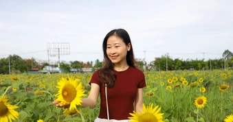 Cánh đồng hoa hướng dương ở Cần Thơ hút giới trẻ check-in