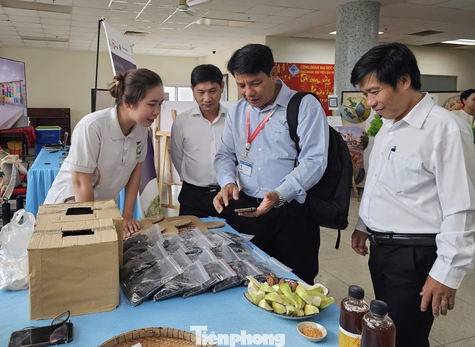 Cấp thiết trang bị kỹ năng cho thanh niên về ứng phó thiên tai, biến đổi khí hậu Cấp thiết trang bị kỹ năng cho thanh niên về ứng phó thiên tai, biến đổi khí hậu