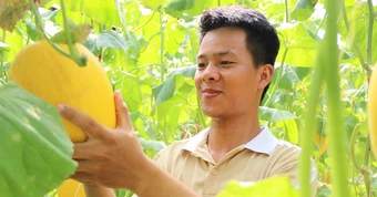 Chàng trai gen Z làm giàu từ nông nghiệp xanh
