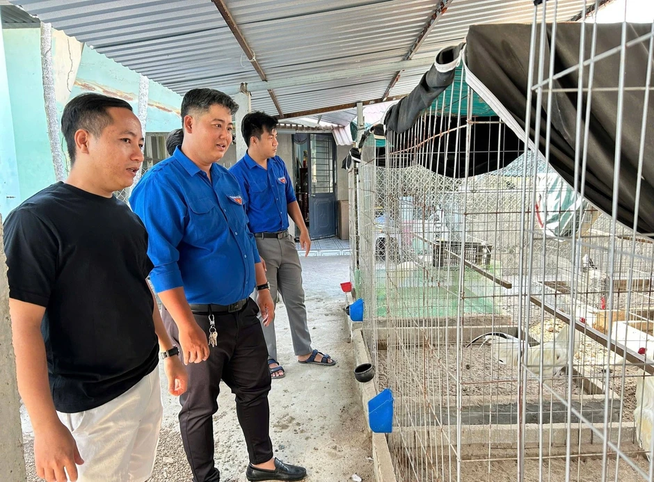 Chàng trai mát tay làm 'bà mụ' cho cua đinh, bán gần 500 con giống/năm Chàng trai mát tay làm 'bà mụ' cho cua đinh, bán gần 500 con giống/năm