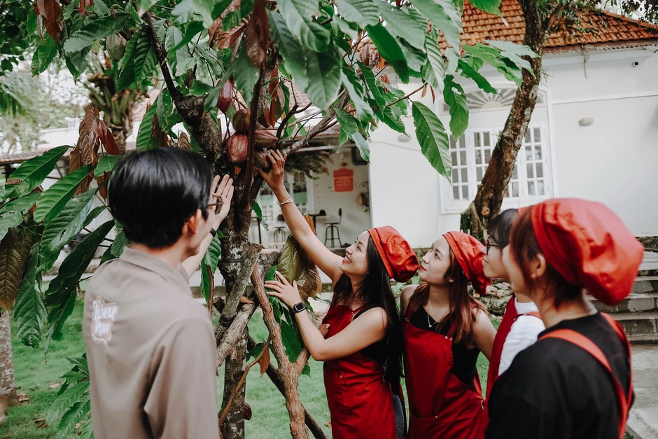 Chỉ với 500 triệu đồng, chàng trai Phú Quốc tạo nên thứ khiến du khách mê mẩn