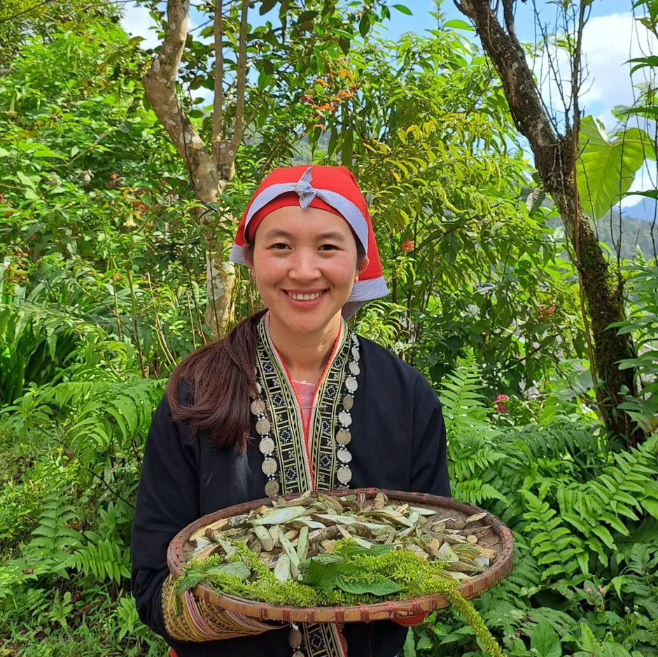 Cô gái Dao 'đổi đời' nhờ làm du lịch, đón khách Tây đến cày ruộng, hái rau Cô gái Dao 'đổi đời' nhờ làm du lịch, đón khách Tây đến cày ruộng, hái rau