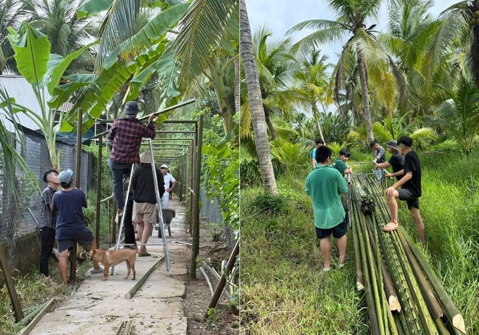 Cưới mối tình 13 năm, chú rể làm cổng hoa độc đáo, trang trí cả con ngõ 100m Cưới mối tình 13 năm, chú rể làm cổng hoa độc đáo, trang trí cả con ngõ 100m