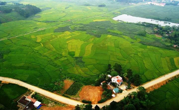 Cựu chiến binh 75 tuổi bay dù lượn nghệ thuật khiến giới trẻ mê mẩn Cựu chiến binh 75 tuổi bay dù lượn nghệ thuật khiến giới trẻ mê mẩn