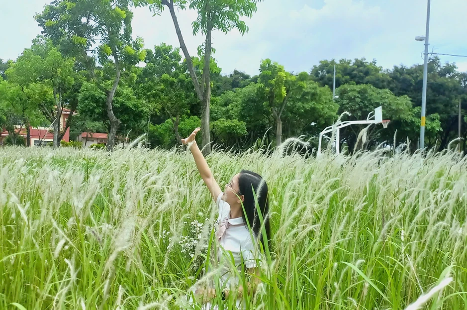 Đẹp như phim, đồi cỏ lau giữa TP.HCM đang khiến giới trẻ phát sốt