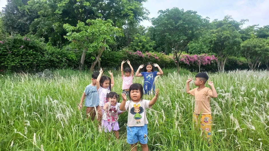 Đẹp như phim, đồi cỏ lau giữa TP.HCM đang khiến giới trẻ phát sốt