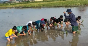 Độc đáo lớp học cấy lúa, bắt ốc cho 'khối nghỉ hè'