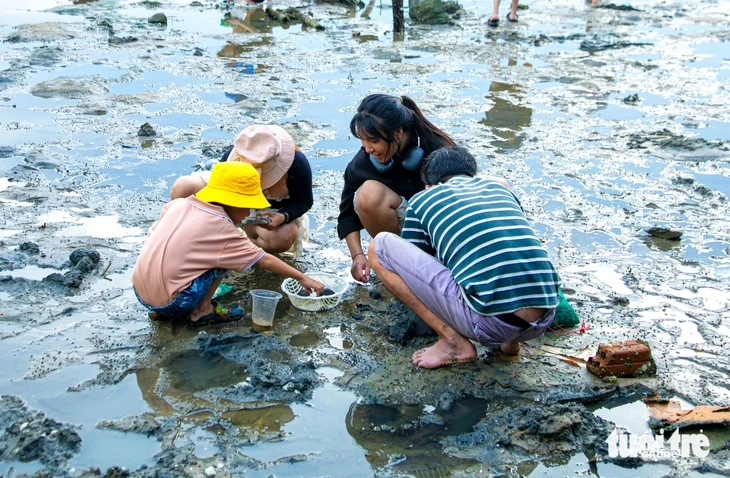 Đông nghịt người lội bùn 'săn' ốc móng tay trên vịnh Mân Quang Đông nghịt người lội bùn 'săn' ốc móng tay trên vịnh Mân Quang