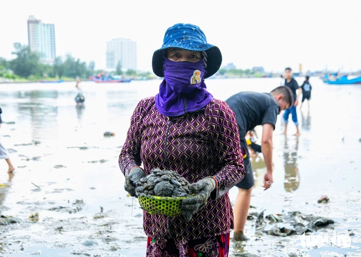 Đông nghịt người lội bùn 'săn' ốc móng tay trên vịnh Mân Quang Đông nghịt người lội bùn 'săn' ốc móng tay trên vịnh Mân Quang