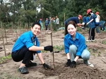 Gần 200 công trình, phần việc xanh cho thế giới sạch hơn