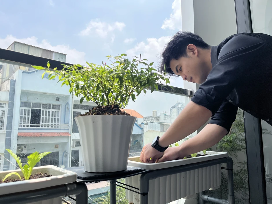 Giữa mùa nắng nóng gay gắt, vì sao người trẻ đổ xô trồng cây ở ban công?