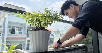 Giữa mùa nắng nóng gay gắt, vì sao người trẻ đổ xô trồng cây ở ban công?