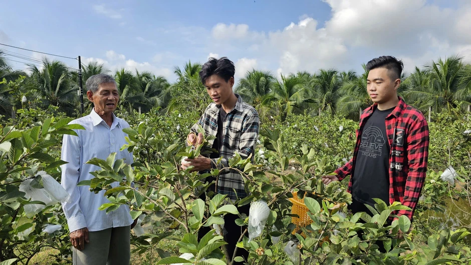 Hai anh em ruột 'gác' bằng kỹ sư, làm điều bất ngờ... Hai anh em ruột 'gác' bằng kỹ sư, làm điều bất ngờ...