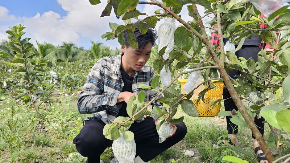Hai anh em ruột 'gác' bằng kỹ sư, làm điều bất ngờ... Hai anh em ruột 'gác' bằng kỹ sư, làm điều bất ngờ...