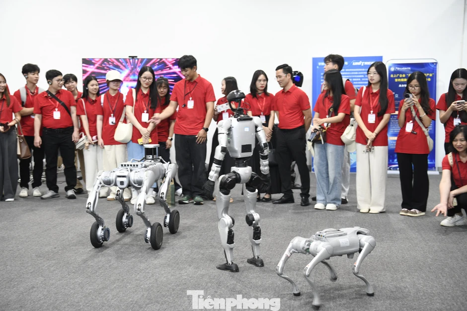 'Hành trình đỏ' khơi dậy khát vọng tri thức của người trẻ Việt 'Hành trình đỏ' khơi dậy khát vọng tri thức của người trẻ Việt