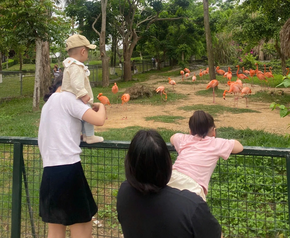 Hoa hậu lấy chồng đại gia xứ Nghệ, con 1 tuổi vội đi làm: Vì sao? Hoa hậu lấy chồng đại gia xứ Nghệ, con 1 tuổi vội đi làm: Vì sao?