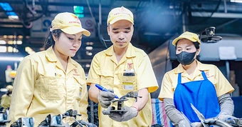 Khoảng lặng '3 không' của người trẻ: Không học tập, không việc làm, không tham gia đào tạo nghề