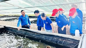 Khởi nghiệp ở làng quê ven biển