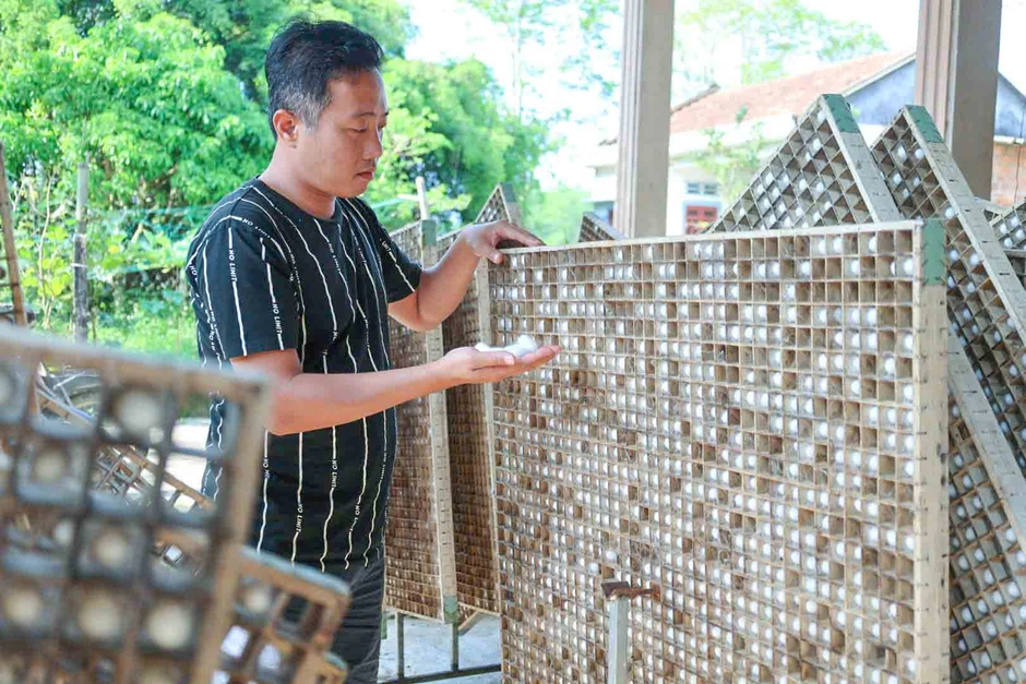 Không cần lên phố: Ở quê vẫn kiếm trăm triệu nhờ cách làm này