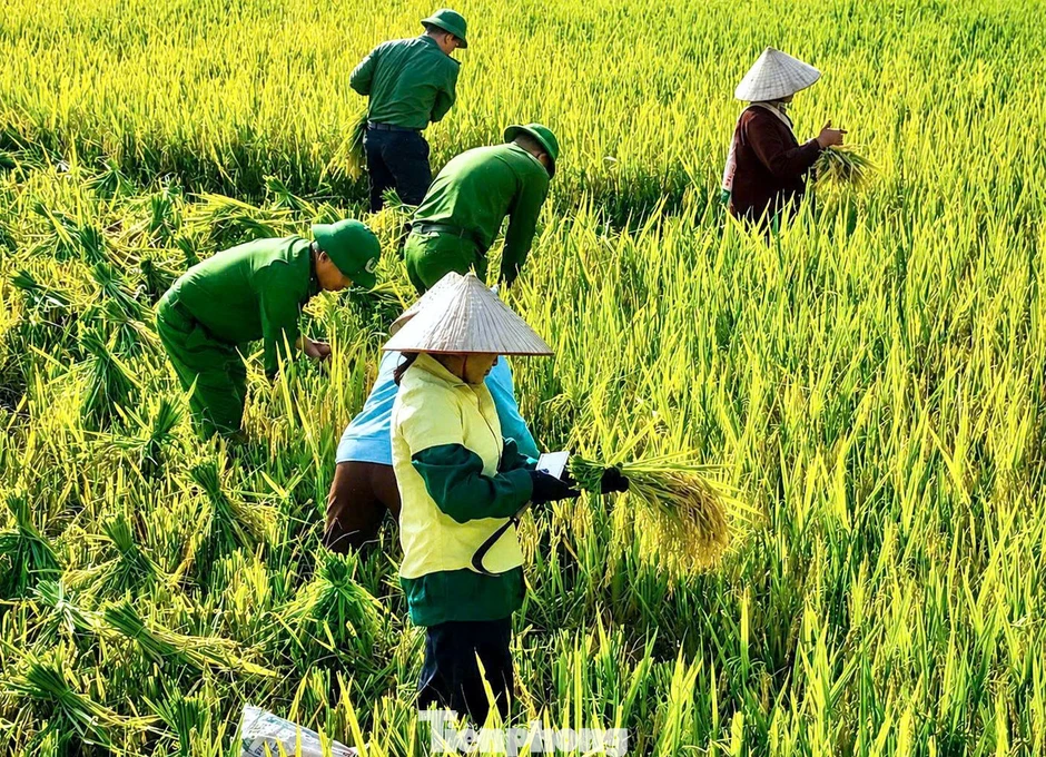 Lá 'đơn' nguệch ngoạc, sai chính tả của lão nông khiến cán bộ công an xúc động Lá 'đơn' nguệch ngoạc, sai chính tả của lão nông khiến cán bộ công an xúc động