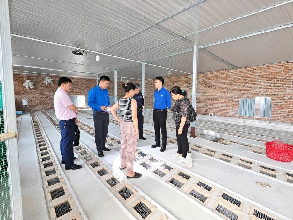 Mạch chảy tín dụng chính sách tại Phú Thọ: Từ nguồn vốn đến những sinh kế bền vững Mạch chảy tín dụng chính sách tại Phú Thọ: Từ nguồn vốn đến những sinh kế bền vững