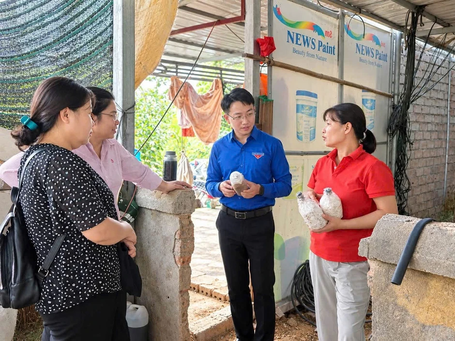 Mạch chảy tín dụng chính sách tại Phú Thọ: Từ nguồn vốn đến những sinh kế bền vững Mạch chảy tín dụng chính sách tại Phú Thọ: Từ nguồn vốn đến những sinh kế bền vững
