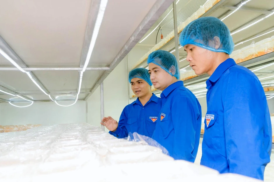 Mang phòng lab về quê khởi nghiệp Mang phòng lab về quê khởi nghiệp