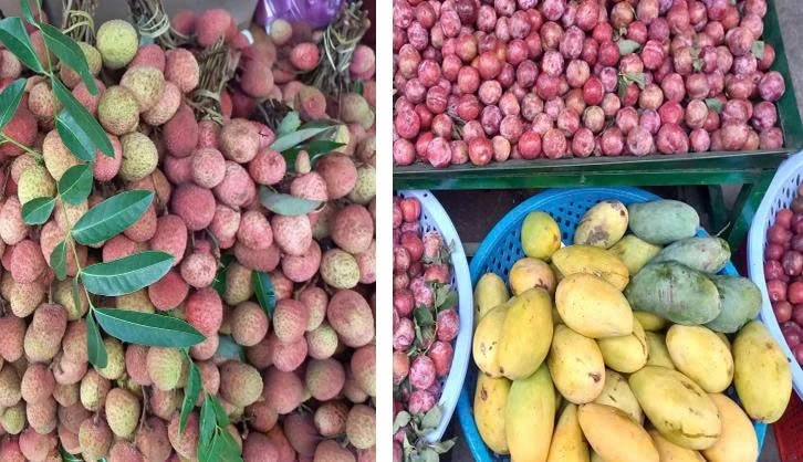 Mê mẩn sầu riêng, mận, vải... nhưng ngại nổi mụn, thực hư thế nào? Mê mẩn sầu riêng, mận, vải... nhưng ngại nổi mụn, thực hư thế nào?