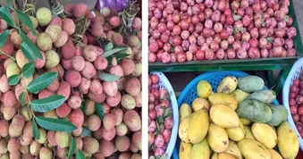 Mê mẩn sầu riêng, mận, vải... nhưng ngại nổi mụn, thực hư thế nào?