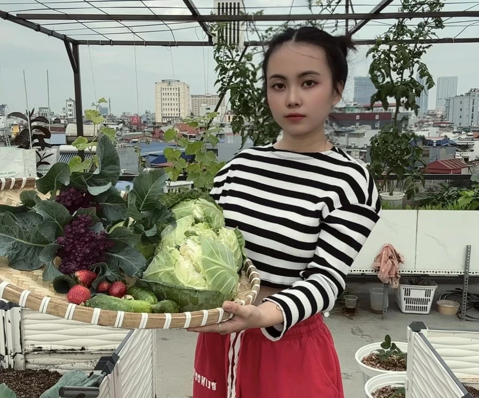 Mẹ trẻ xinh đẹp biến sân thượng thành vườn dưa trăm trái Mẹ trẻ xinh đẹp biến sân thượng thành vườn dưa trăm trái