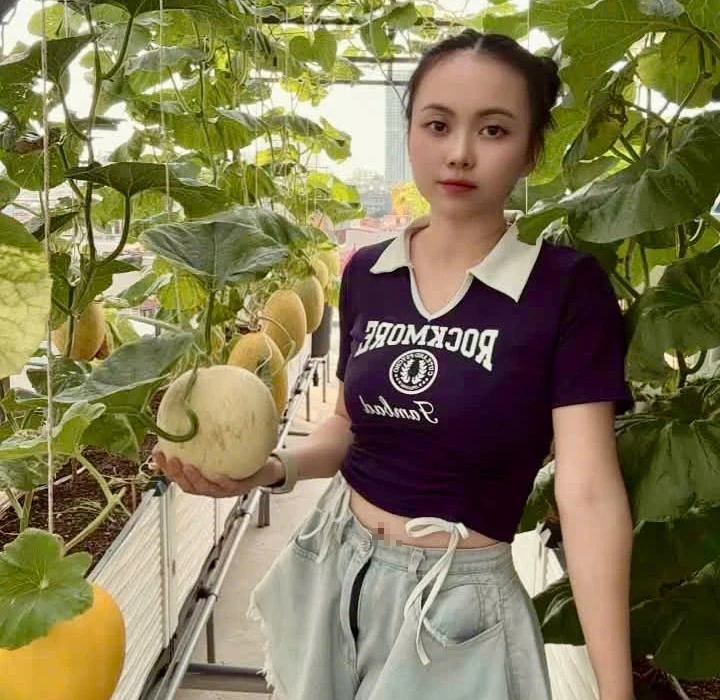 Mẹ trẻ xinh đẹp biến sân thượng thành vườn dưa trăm trái Mẹ trẻ xinh đẹp biến sân thượng thành vườn dưa trăm trái