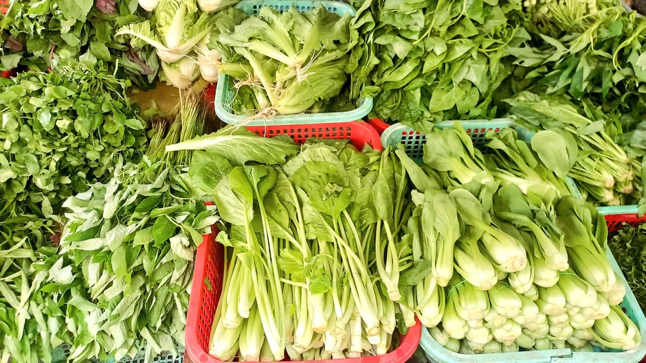 Nắng nóng vượt ngưỡng 40 độ C: Bác sĩ chỉ cách giải nhiệt ngay tại nhà Nắng nóng vượt ngưỡng 40 độ C: Bác sĩ chỉ cách giải nhiệt ngay tại nhà