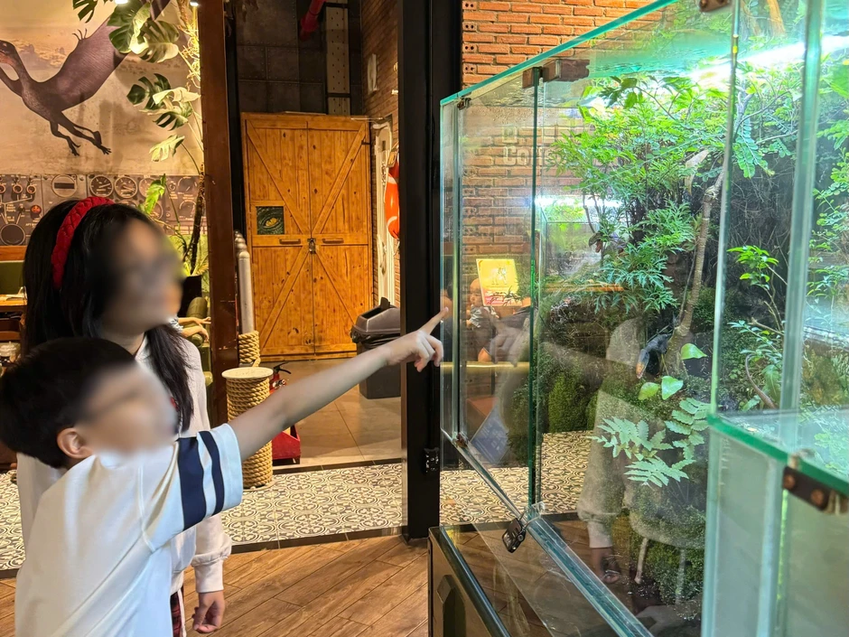 Nếu được tự thiết kế mùa hè lý tưởng, trẻ em mong gì?