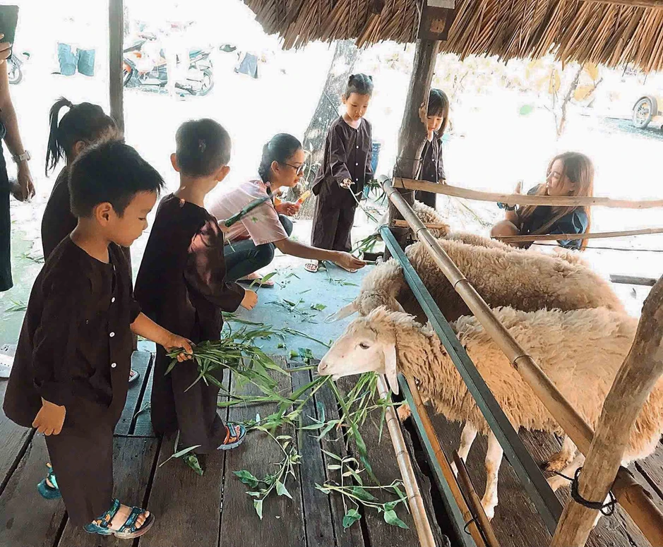 Những nông trại giữa lòng TP.HCM khiến người trẻ say đắm Những nông trại giữa lòng TP.HCM khiến người trẻ say đắm