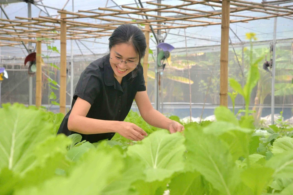 Những nông trại giữa lòng TP.HCM khiến người trẻ say đắm Những nông trại giữa lòng TP.HCM khiến người trẻ say đắm