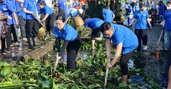 Ra quân Tháng thanh niên 2026, gen Z TP.HCM khơi thông rạch, tiếp sức công nhân