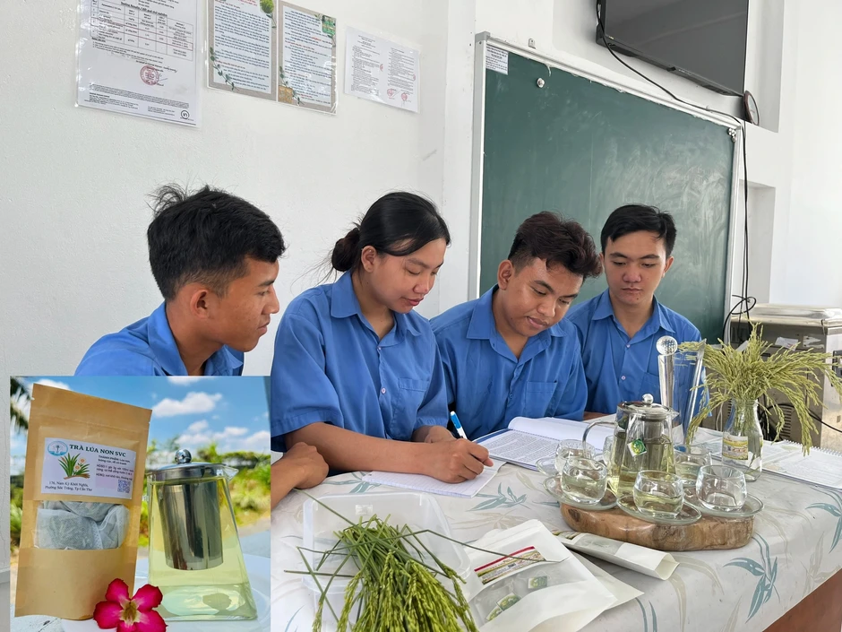 Sinh viên làm sản phẩm độc lạ: Trà từ lúa chét ST25 Sinh viên làm sản phẩm độc lạ: Trà từ lúa chét ST25