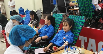 Sôi nổi ngày hội hiến máu Chủ Nhật Đỏ tại Ninh Bình