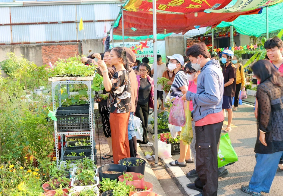 Tại nơi này có tặng cây giống miễn phí, ai cần cứ đến lấy Tại nơi này có tặng cây giống miễn phí, ai cần cứ đến lấy