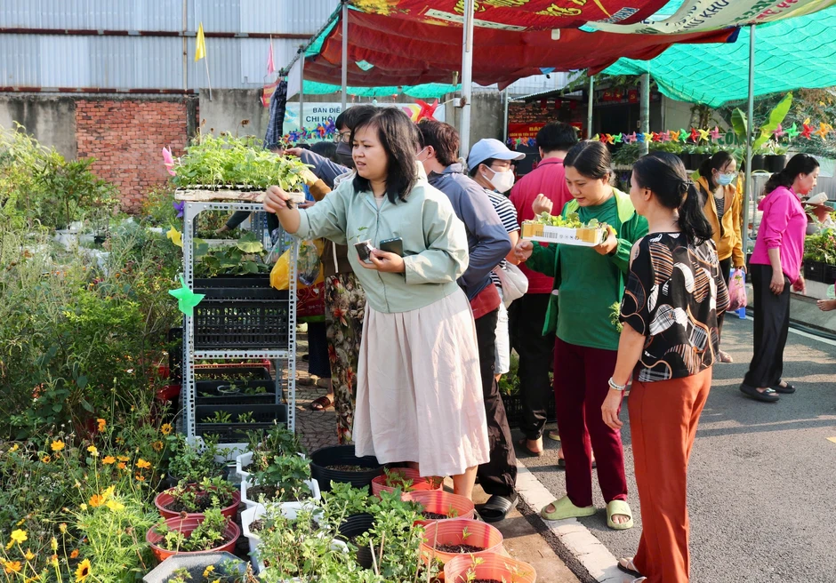 Tại nơi này có tặng cây giống miễn phí, ai cần cứ đến lấy Tại nơi này có tặng cây giống miễn phí, ai cần cứ đến lấy