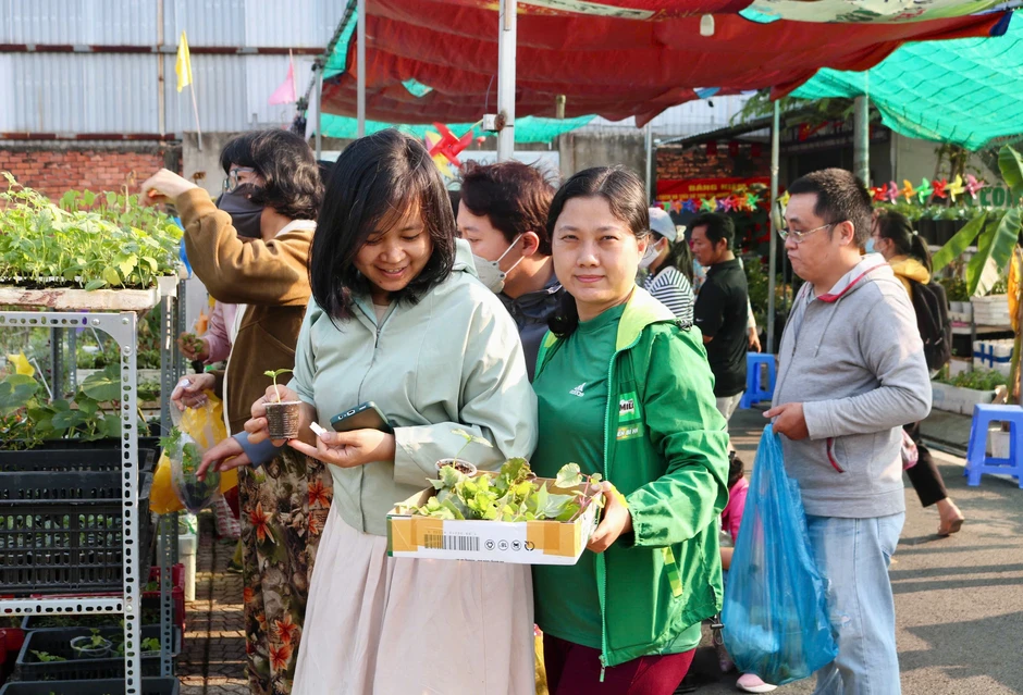 Tại nơi này có tặng cây giống miễn phí, ai cần cứ đến lấy Tại nơi này có tặng cây giống miễn phí, ai cần cứ đến lấy