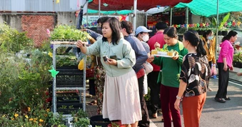 Tại nơi này có tặng cây giống miễn phí, ai cần cứ đến lấy