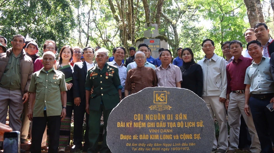 Thanh niên học khởi nghiệp từ 'quốc bảo' sâm quý