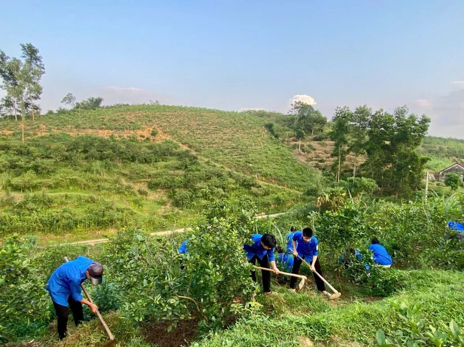 Thanh niên thực hiện nhiều hoạt động ý nghĩa Ngày Chủ nhật Xanh