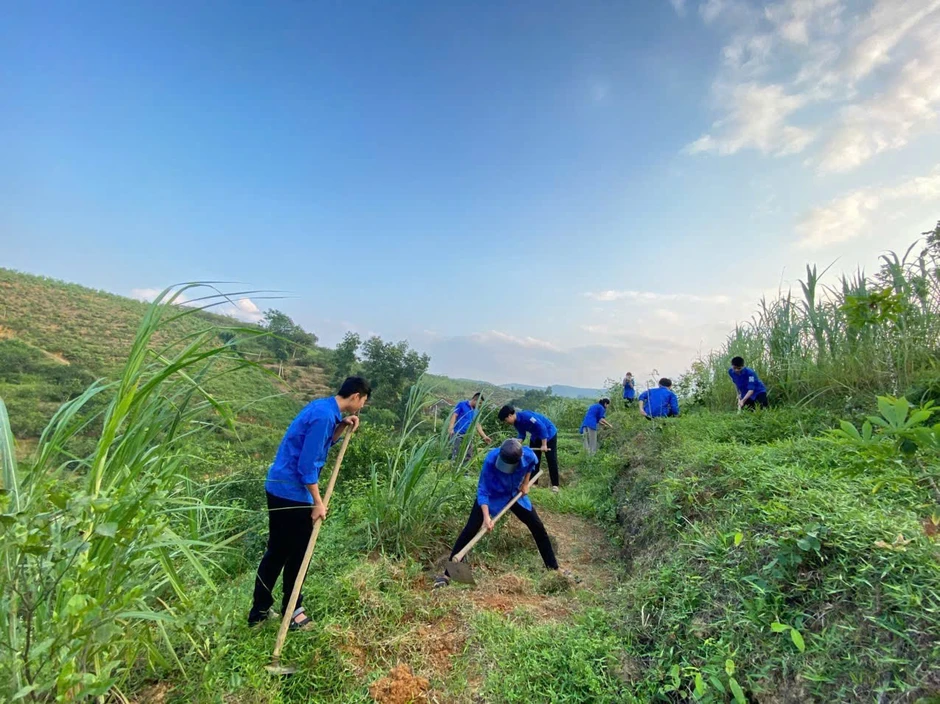 Thanh niên thực hiện nhiều hoạt động ý nghĩa Ngày Chủ nhật Xanh