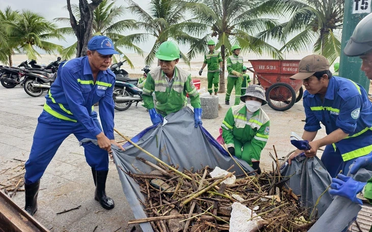Thanh niên xung phong TP.HCM: 50 năm hành trình dấn thân Thanh niên xung phong TP.HCM: 50 năm hành trình dấn thân